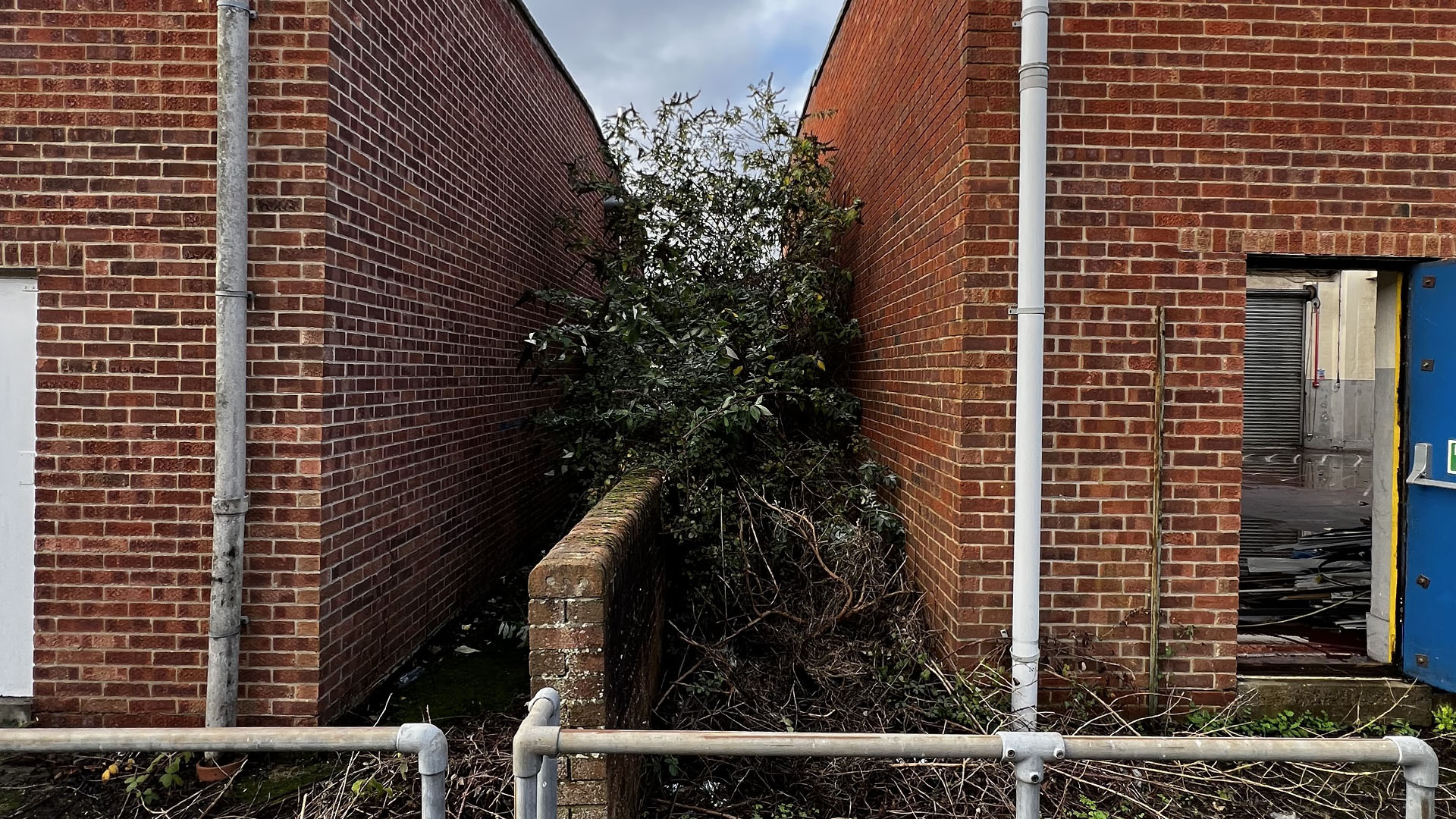 Who Should You Contact First — The Council, a Surveyor, or Your Neighbour Huddersfield?
